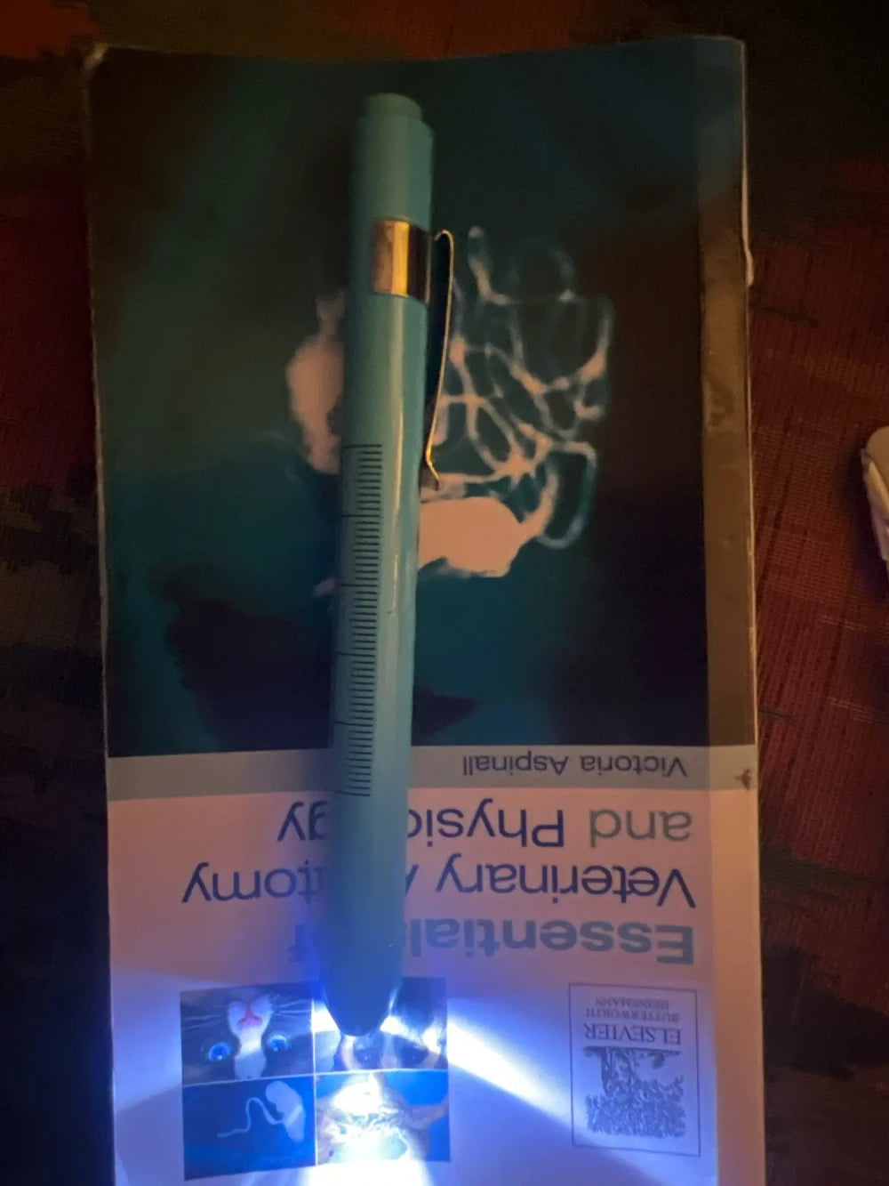 Review Card