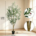 Artificial Olive Tree with Natural Look Trunk-- 5.25ft, 6ft & 7ft