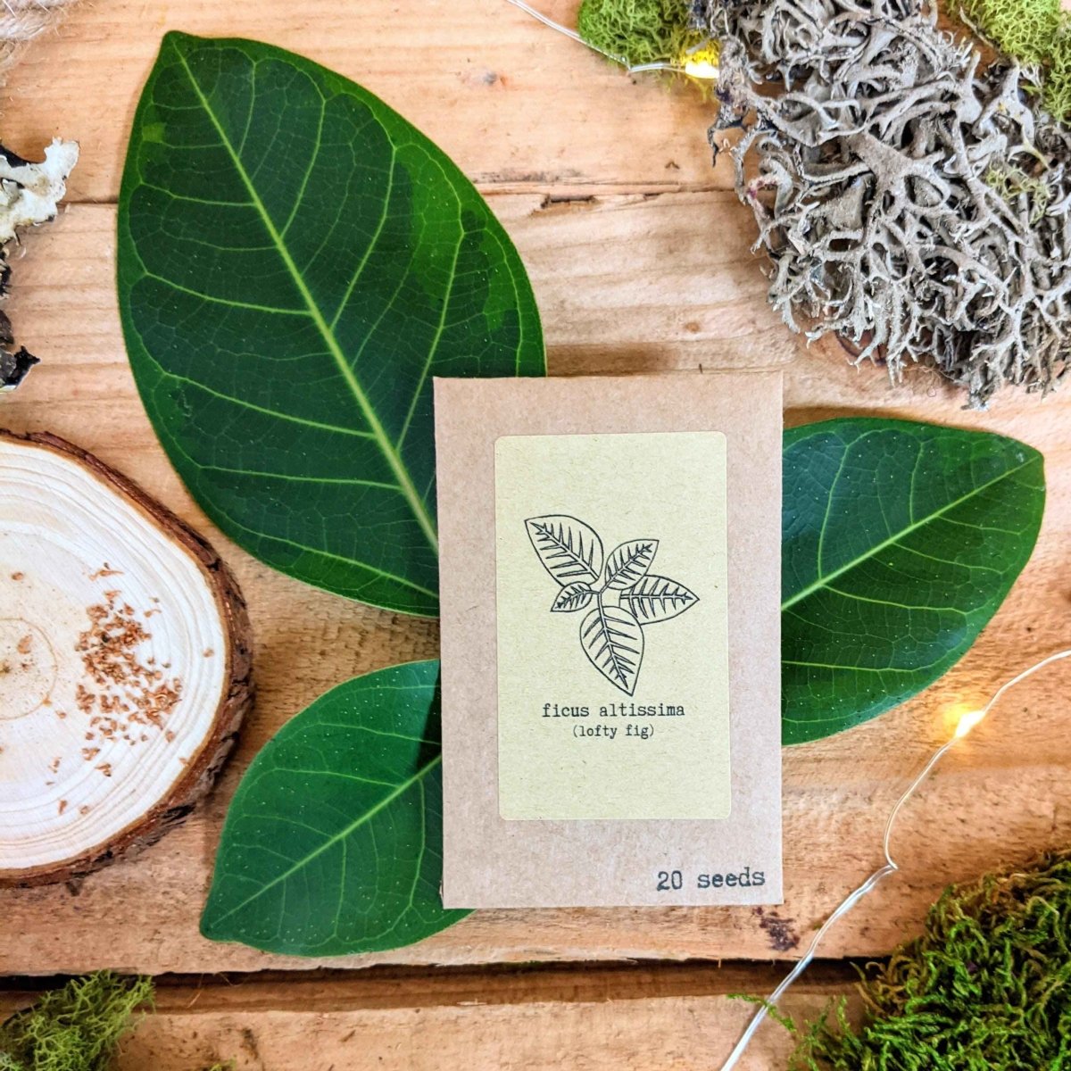 🌿Plant Lover's Favorites: 5- Piece Houseplant Seed Collection