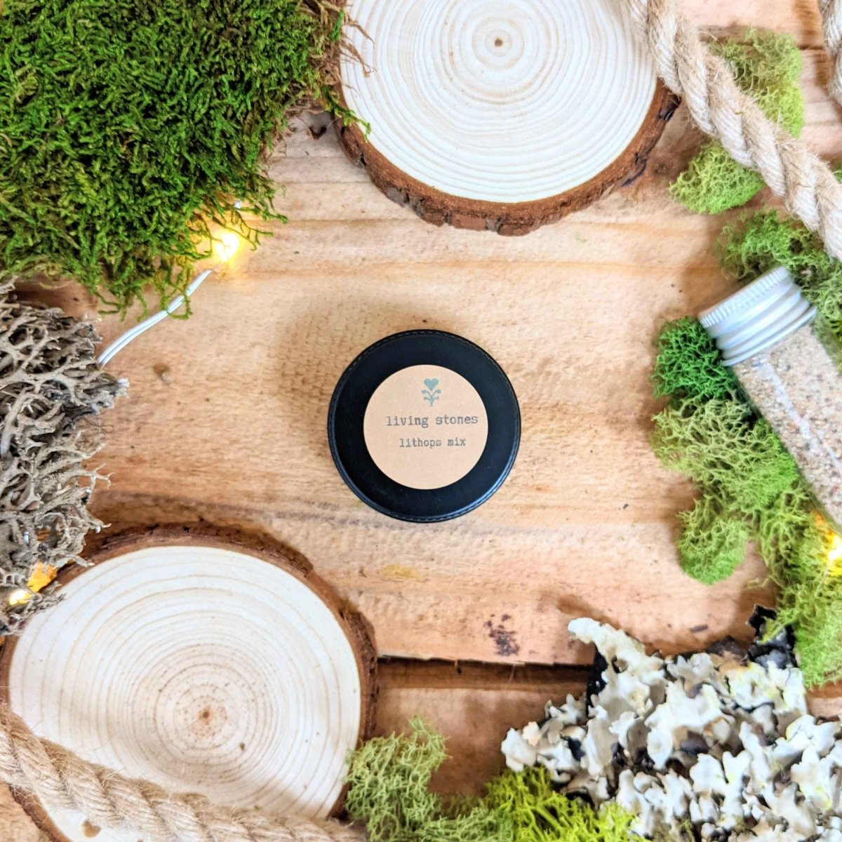 🌿Plant Lover's Favorites: 5- Piece Houseplant Seed Collection