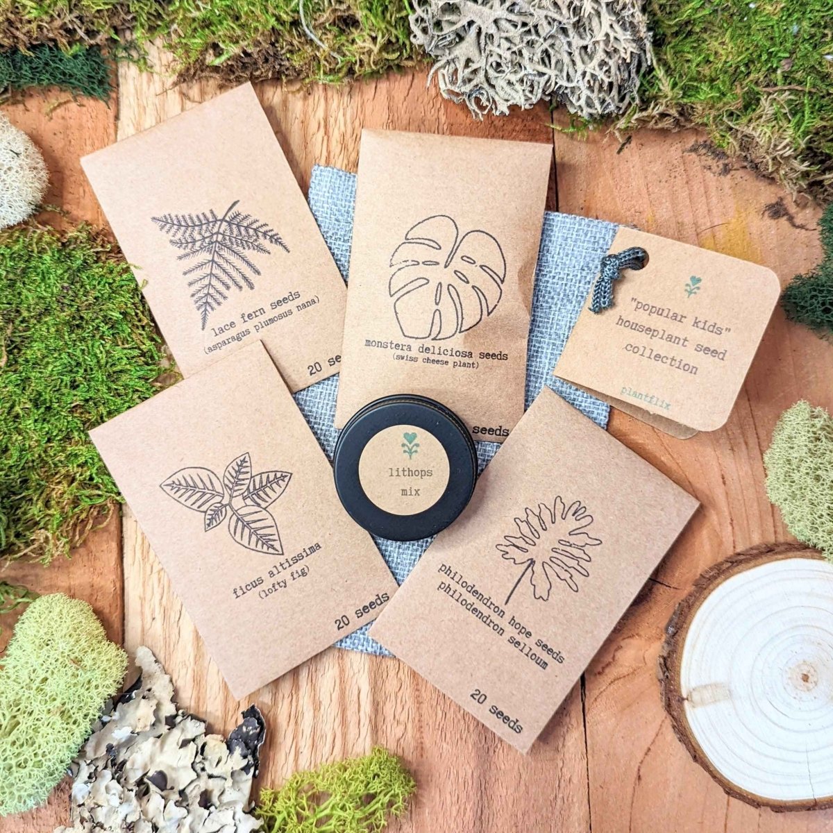 🌿Plant Lover's Favorites: 5- Piece Houseplant Seed Collection