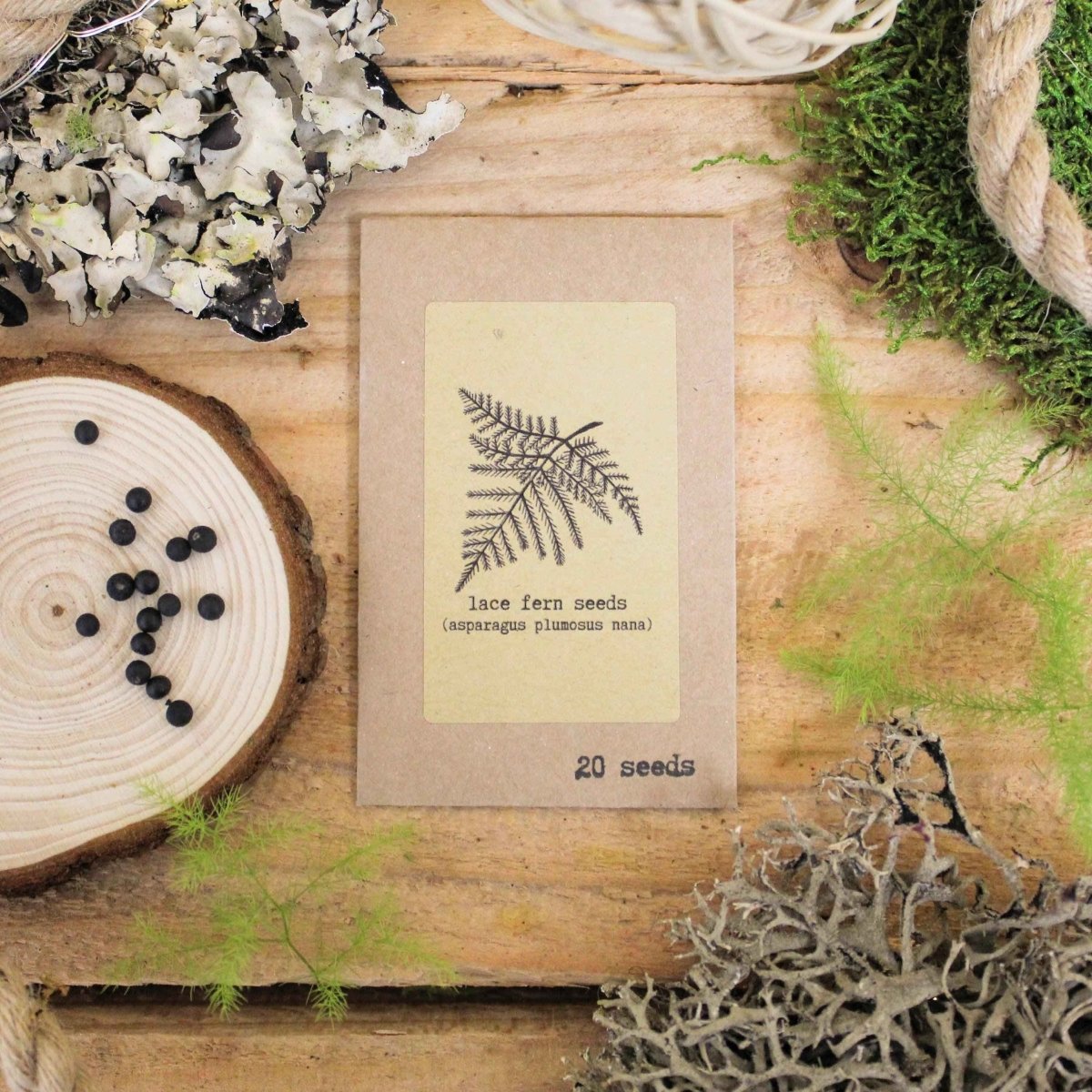 🌿Plant Lover's Favorites: 5- Piece Houseplant Seed Collection