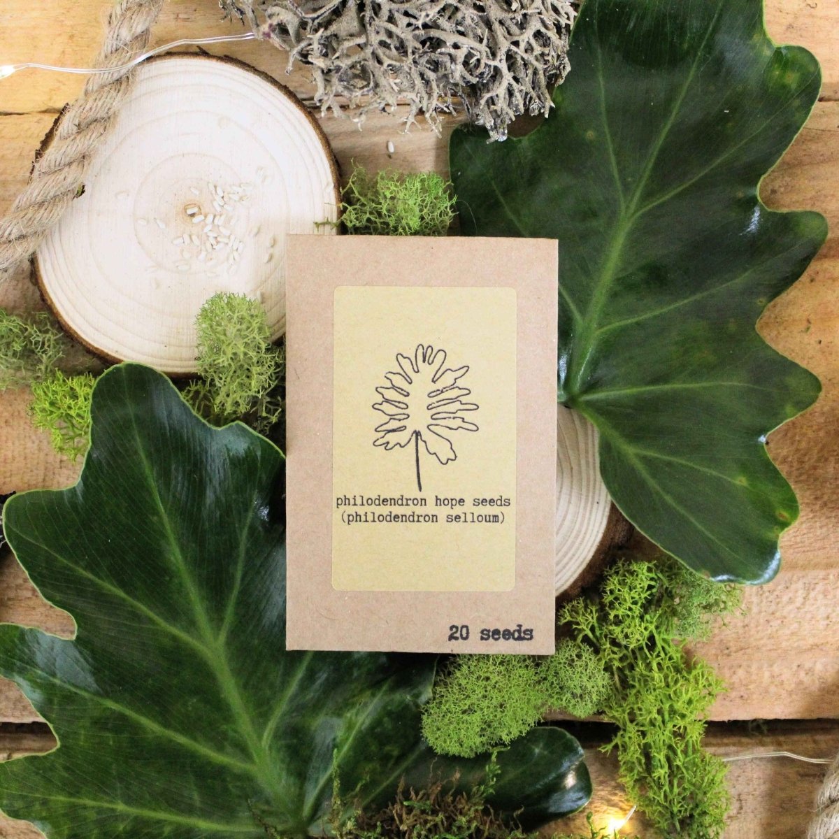 🌿Plant Lover's Favorites: 5- Piece Houseplant Seed Collection